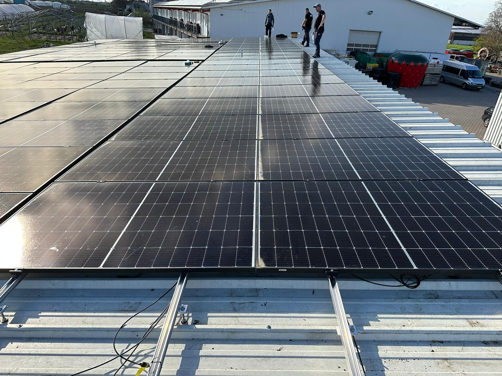 Hall roof with full coverage, agricultural business